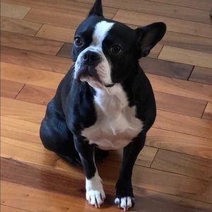 Meet your Posher, Stacey